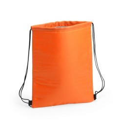 5234 - COOLER BAG