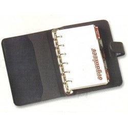 315 - ORGANIZER